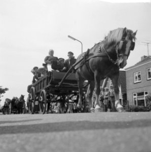 West Friese Folkloredag in Schagen, Bestanddeelnr 916-6111