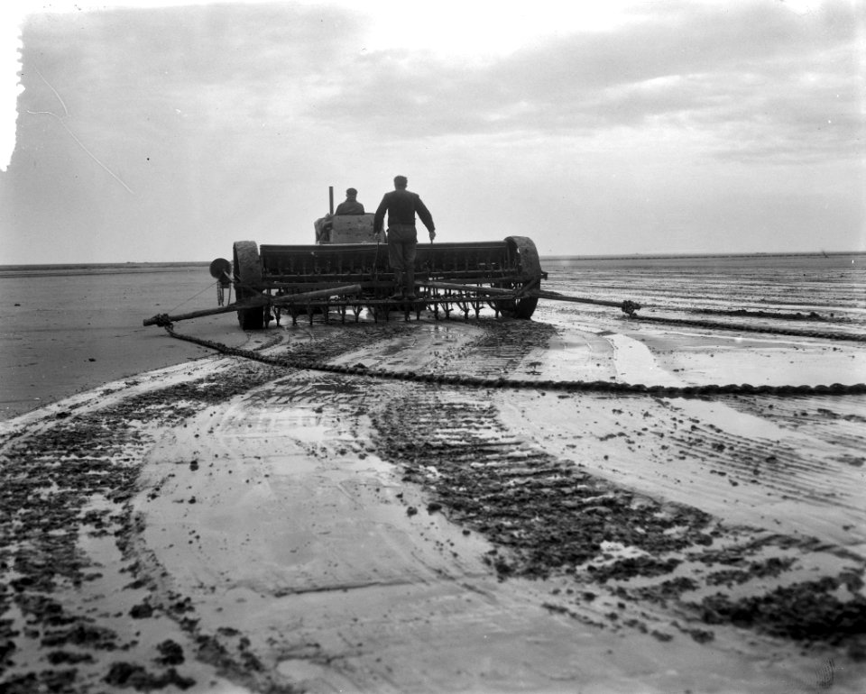 Werkzaamheden Oosterpolder. Raaien, Bestanddeelnr 908-4381