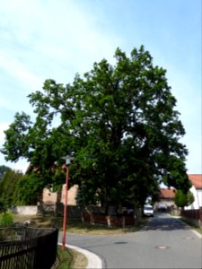 Wernsdorf, Gera 4