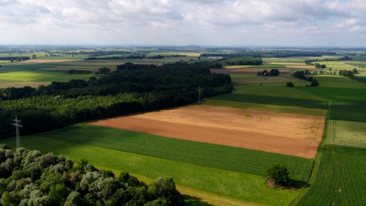 Wertachauen bei Höfen
