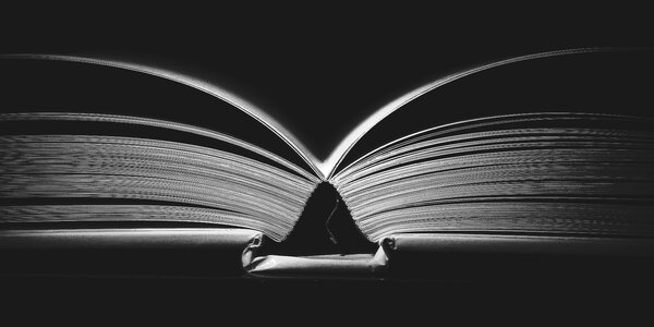Binding gray book gray books