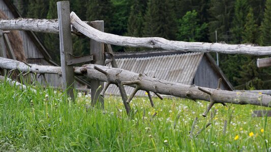 Country timber wooden