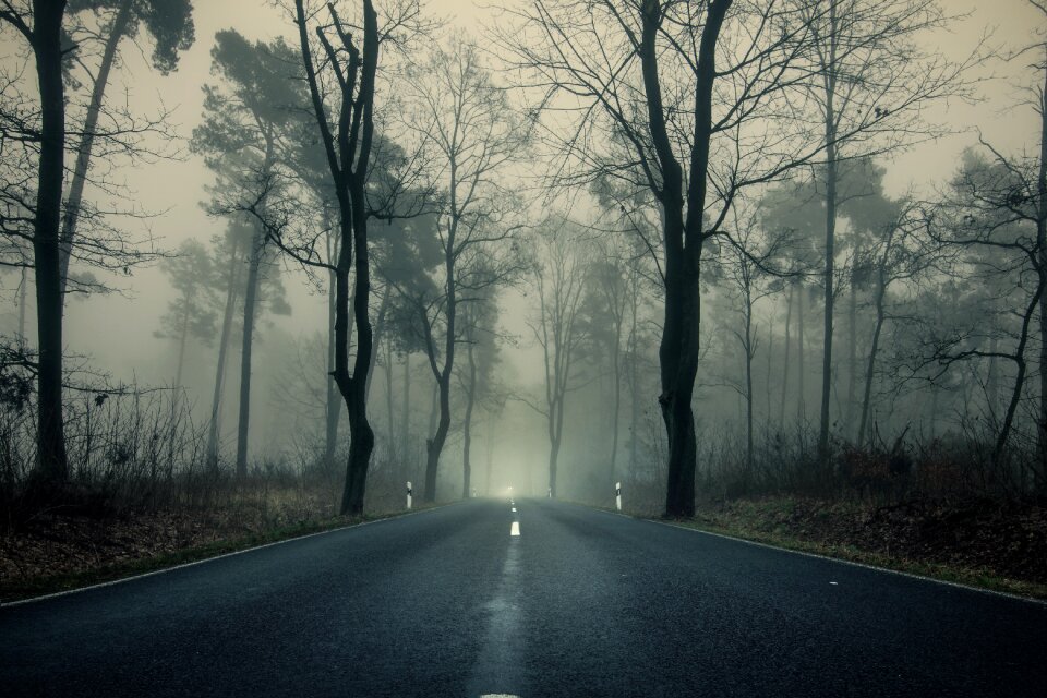 Fog nature mood