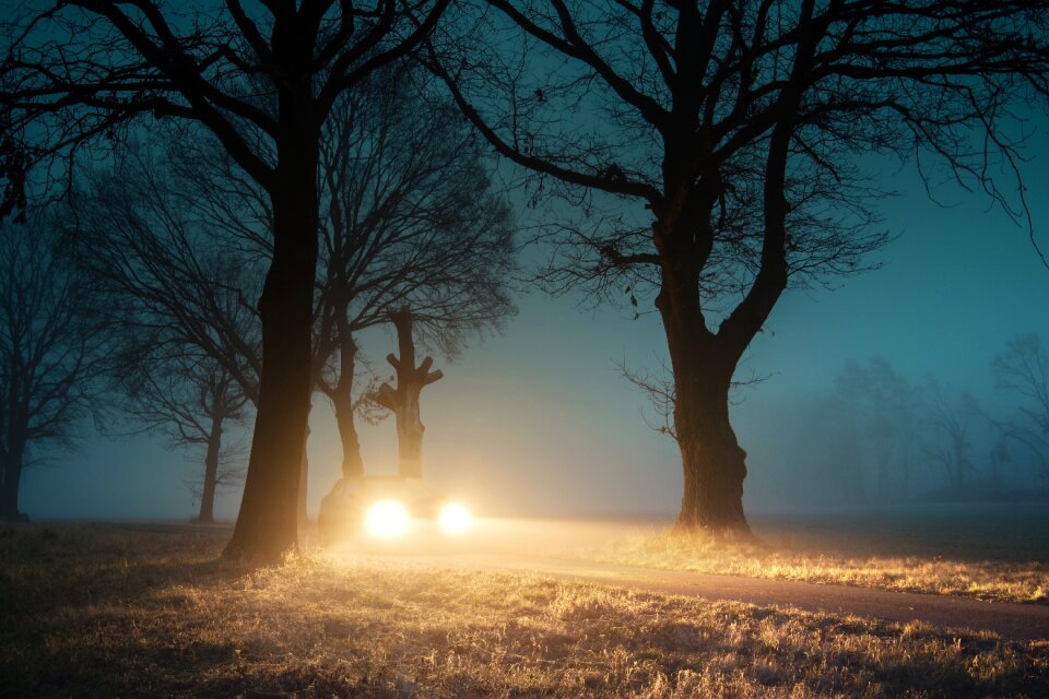 Auto light dusk