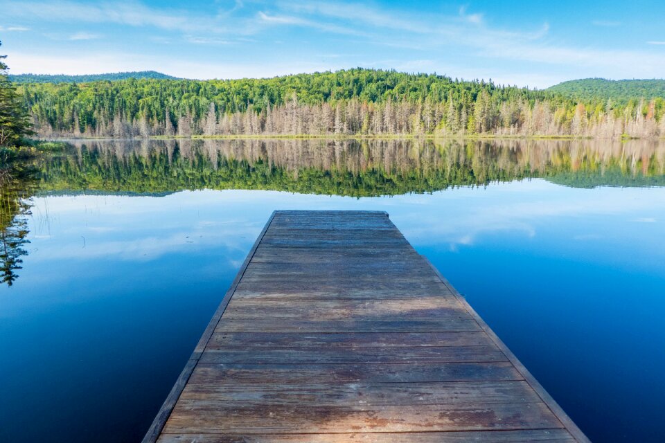Sky reflection wood
