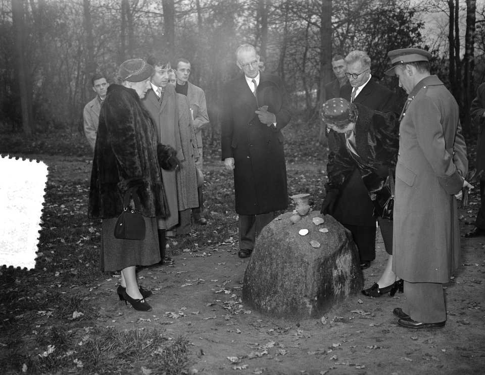 Werkbezoek van de Koningin aan Drenthe, Bestanddeelnr 907-4413