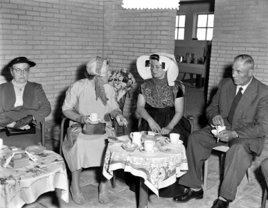 Werkbezoek koningin Juliana aan Zeeuws Vlaanderen, Braakmanpolder en Terneuzen, Bestanddeelnr 907-2029
