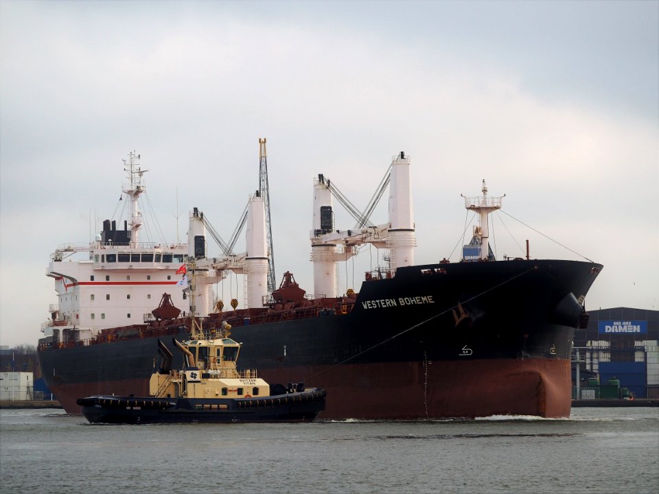 Western Boheme (ship, 2012) IMO 9609691, Houthaven, Port of Amsterdam pic1