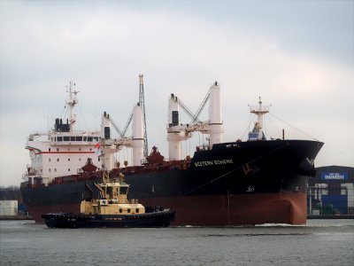 Western Boheme (ship, 2012) IMO 9609691, Houthaven, Port of Amsterdam pic1