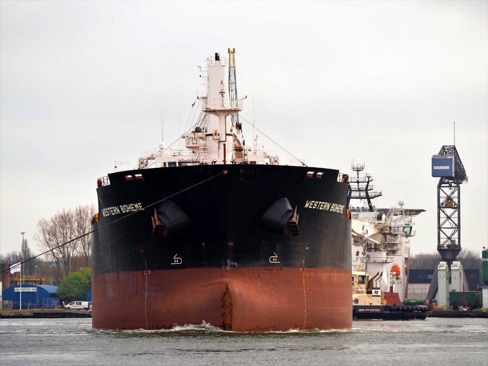 Western Boheme (ship, 2012) IMO 9609691, Houthaven, Port of Amsterdam pic3