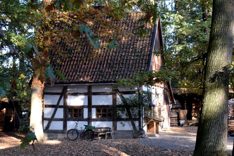 Westerwiehe - Lipplinger Straße 5 - 4