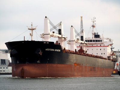 Western Boheme (ship, 2012) IMO 9609691, Houthaven, Port of Amsterdam pic5