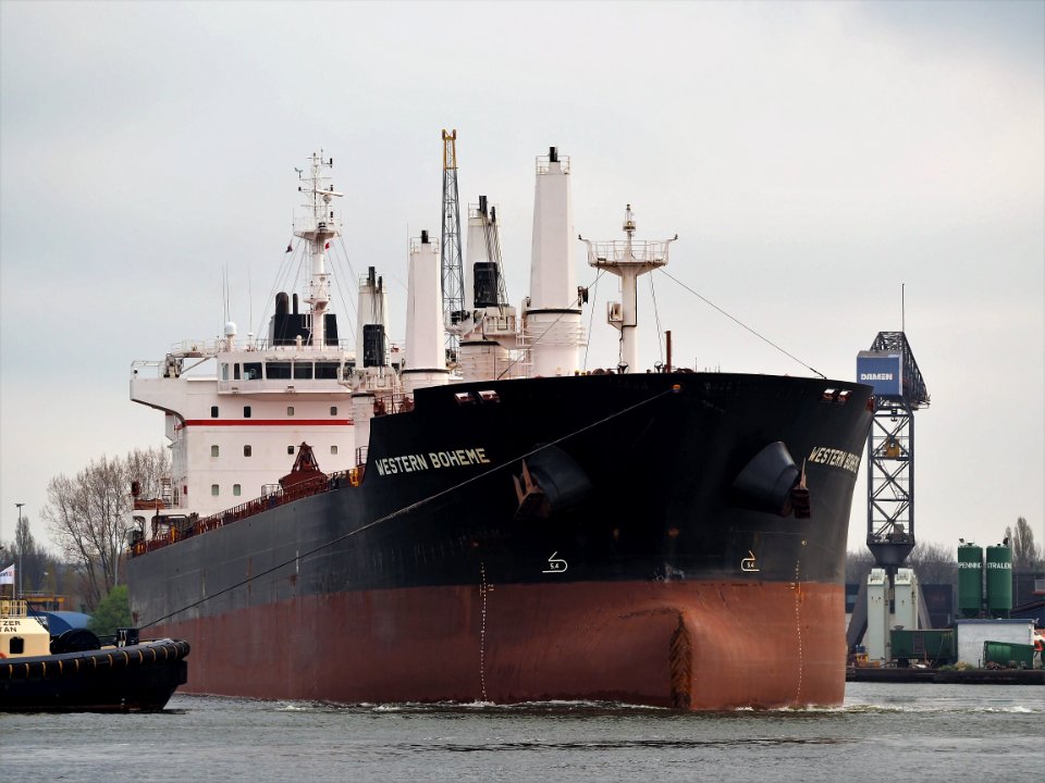 Western Boheme (ship, 2012) IMO 9609691, Houthaven, Port of Amsterdam pic2