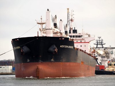 Western Boheme (ship, 2012) IMO 9609691, Houthaven, Port of Amsterdam pic4