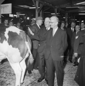 Wethouder J. U. Schilthuis paasveetentoonstelling geopend te Rotterdam, de heer , Bestanddeelnr 917-6206