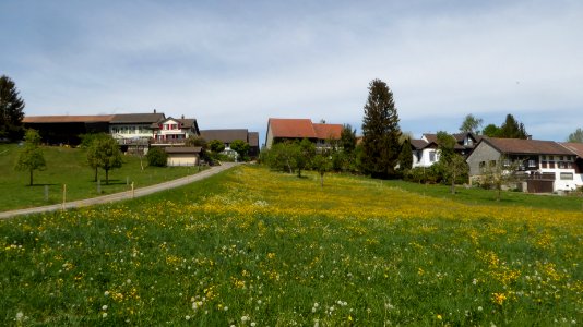 Wetzikon TG von Südosten