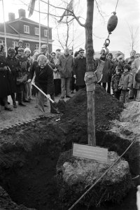 Wethouder De Cloe plant 200000ste boom in Amsterdam, Bestanddeelnr 928-9320