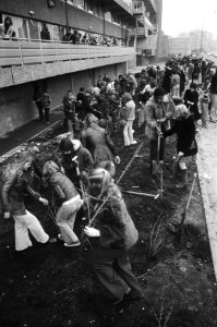 Wethouder De Cloe plant boom in kader van boomplantdag in Amsterdam kinderen pl, Bestanddeelnr 928-4702