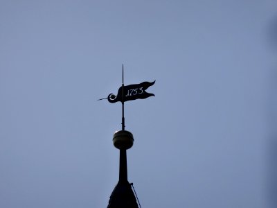 Wetterfahne auf der Kirche von Bechstedtstraß