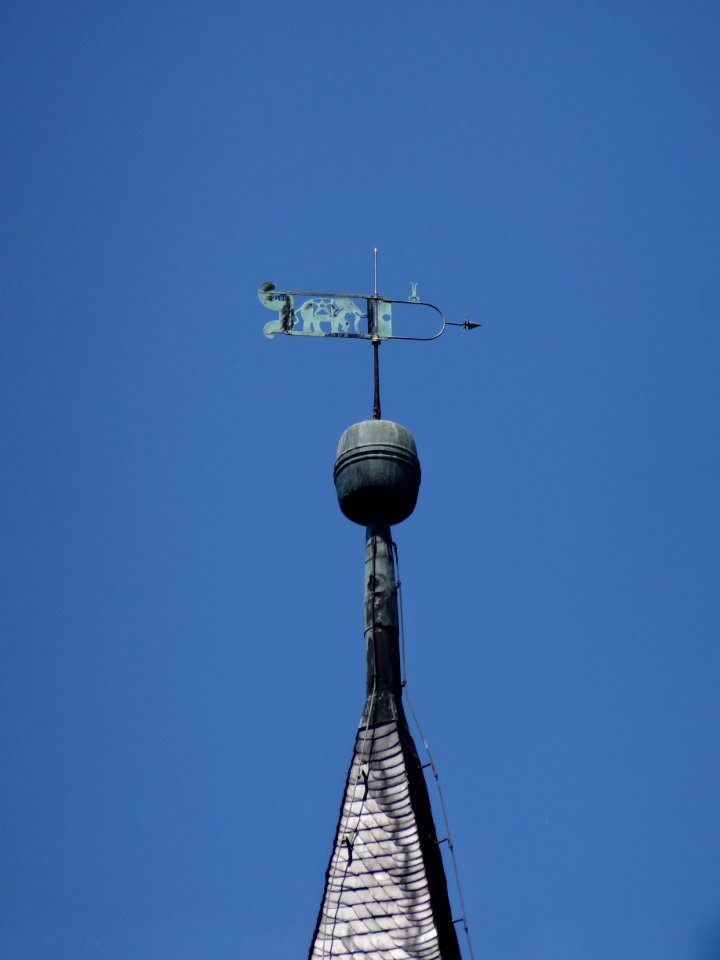 Wetterfahne auf der Wasserburg in Niederroßla