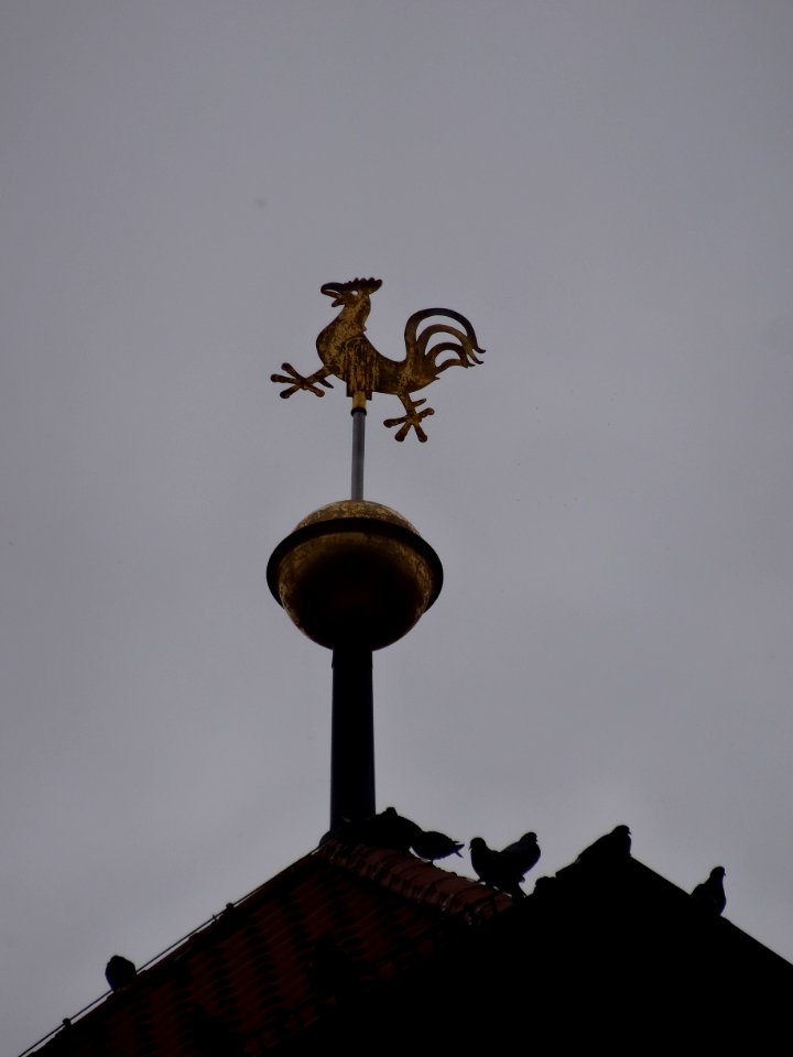 Wetterfahne Liebfrauenkirche, Arnstadt