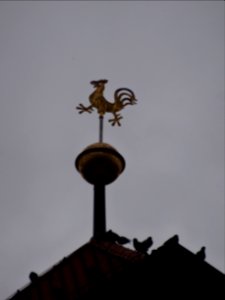 Wetterfahne Liebfrauenkirche, Arnstadt