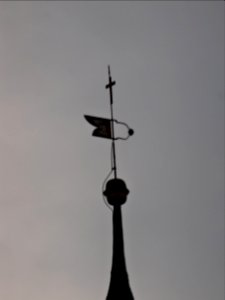 Wetterfahne auf der Kirche von Reinsfeld