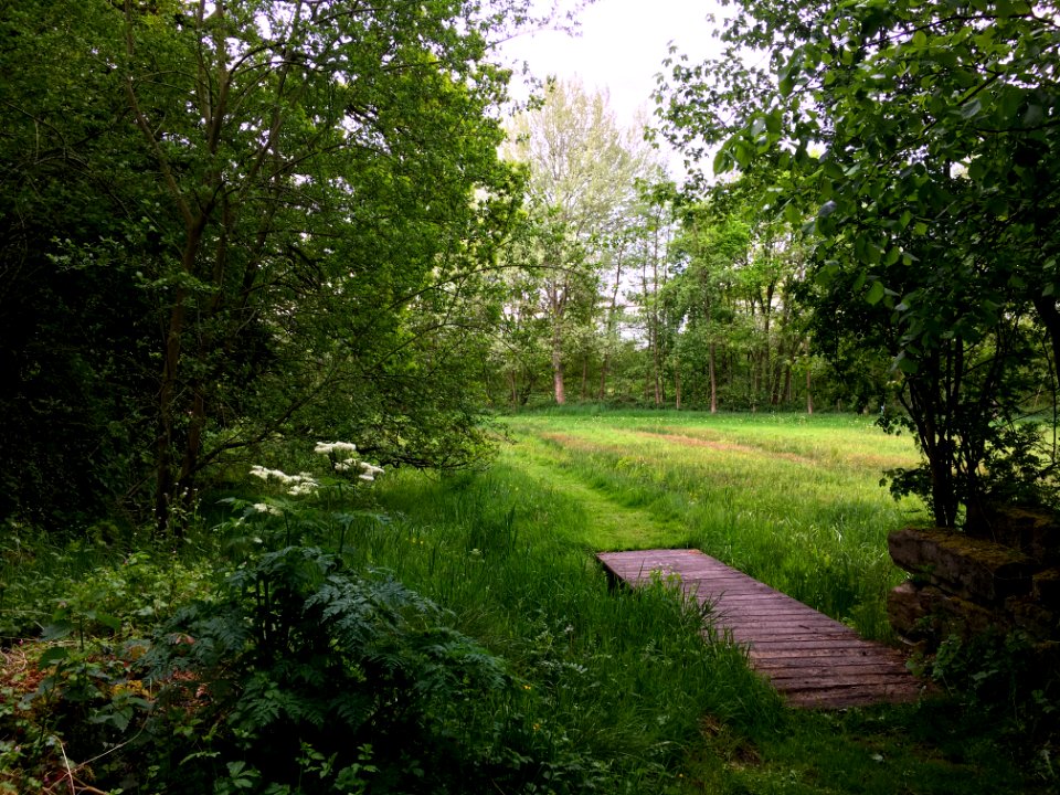 Wet meadows at the Larenstein Estate