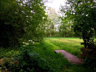 Wet meadows at the Larenstein Estate