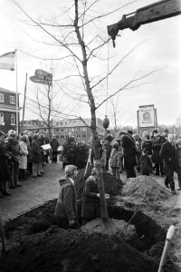Wethouder De Cloe plant 200000ste boom in Amsterdam, Bestanddeelnr 928-9321
