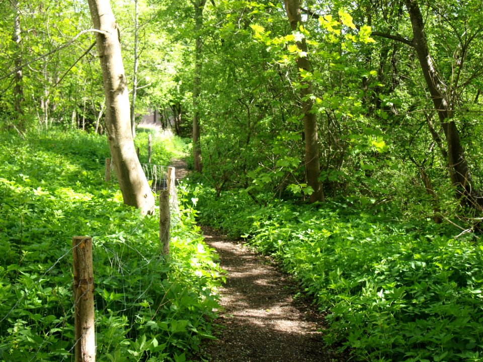 Wertachwanderweg Kaufbeuren