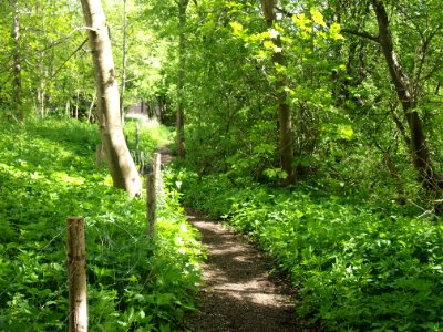 Wertachwanderweg Kaufbeuren