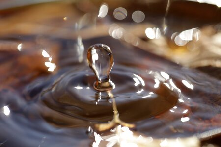 Drip close up drops closeup