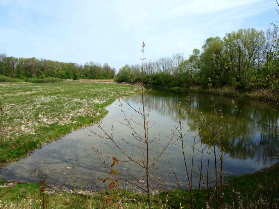 Wertachaltwasser bei Kaufbeuren photo