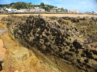 West-Beach-rocks-20170117-003