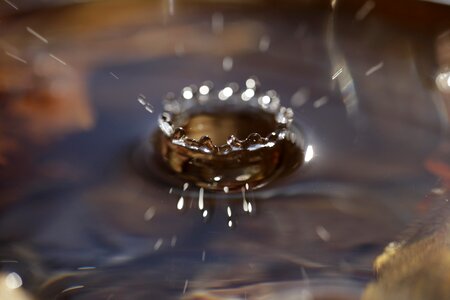 Drip drops closeup drop of water