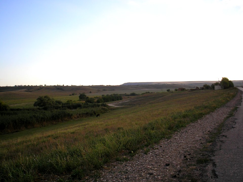 West Bulganak 9