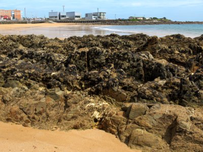 West-Beach-rocks-20170117-004
