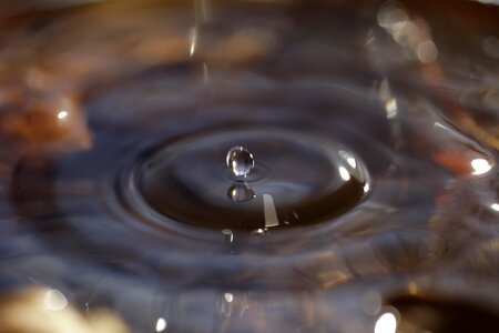 Drip drops closeup drop of water