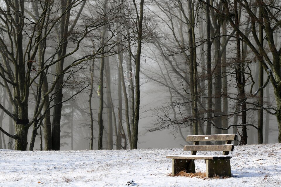 Mystical mysterious fog