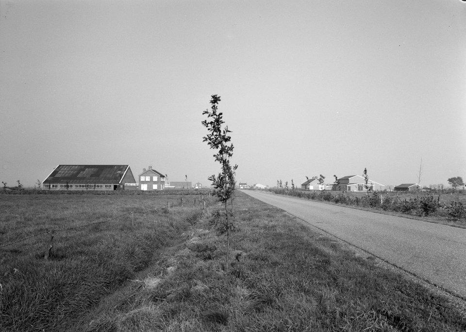 Westermaatweg (VriezenveenAlmelo), Bestanddeelnr 163-0241