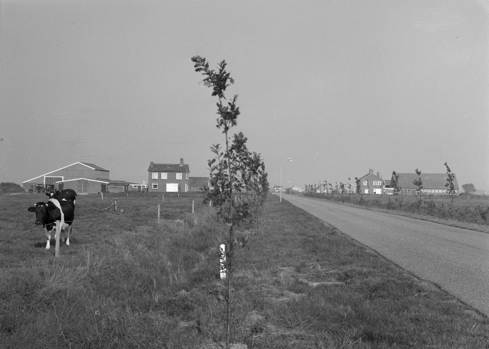 Westermaatweg (VriezenveenAlmelo), Bestanddeelnr 163-0243