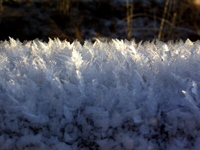 Frozen eiskristalle frost photo