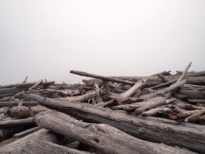 Northwest use landscape