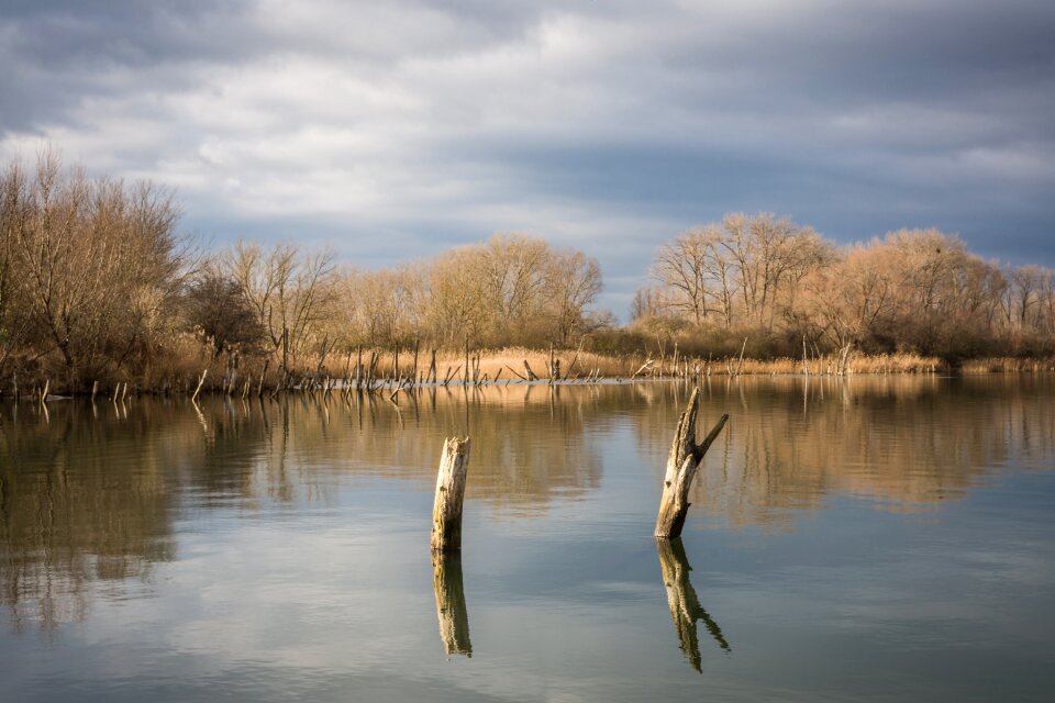 Waters landscape winter