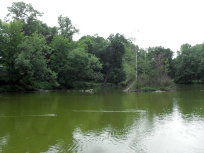 Zámecké jezero Teplice D
