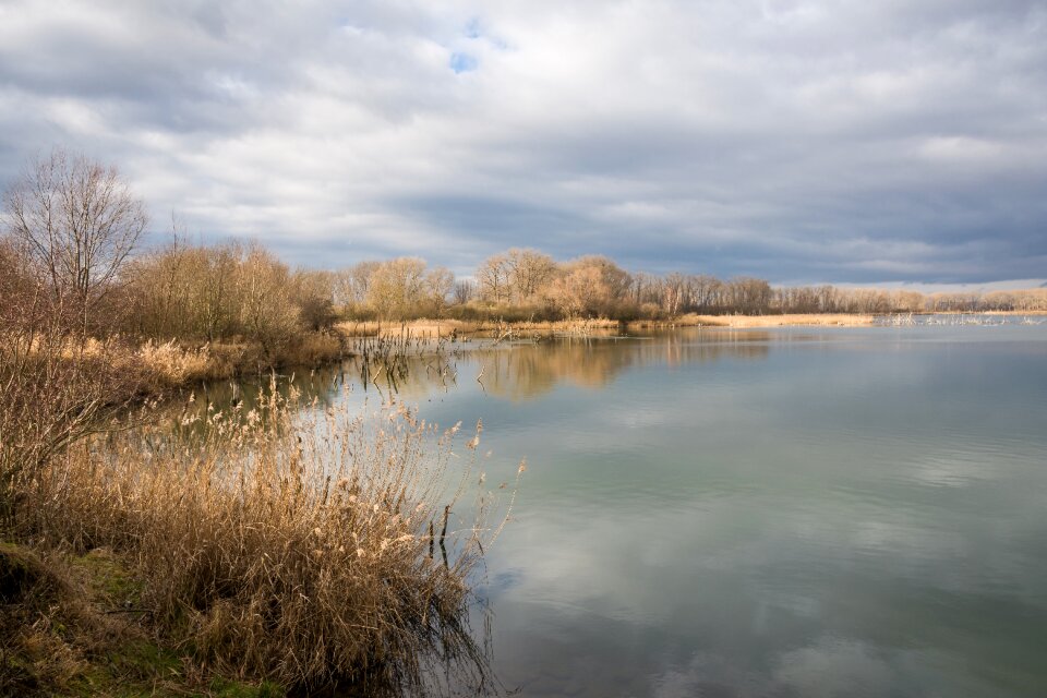 Waters landscape winter