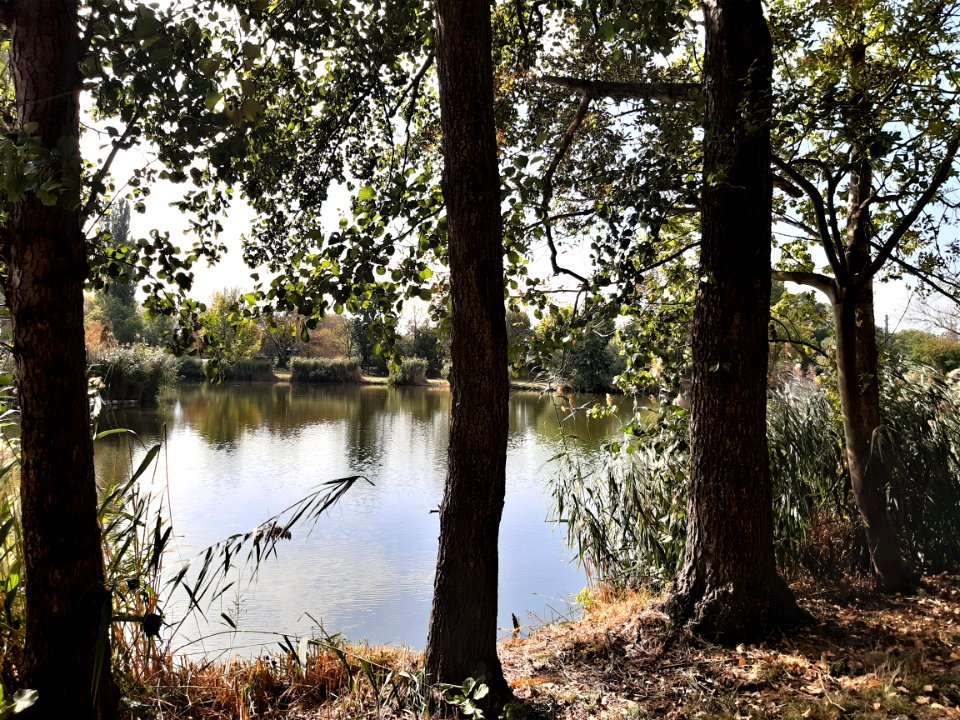 Zörbig LeipzigerTeich 1