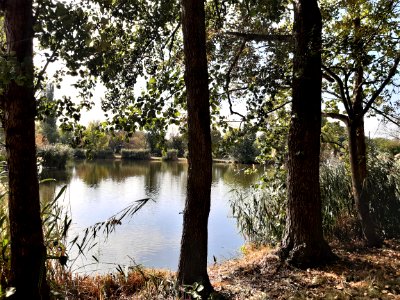 Zörbig LeipzigerTeich 1