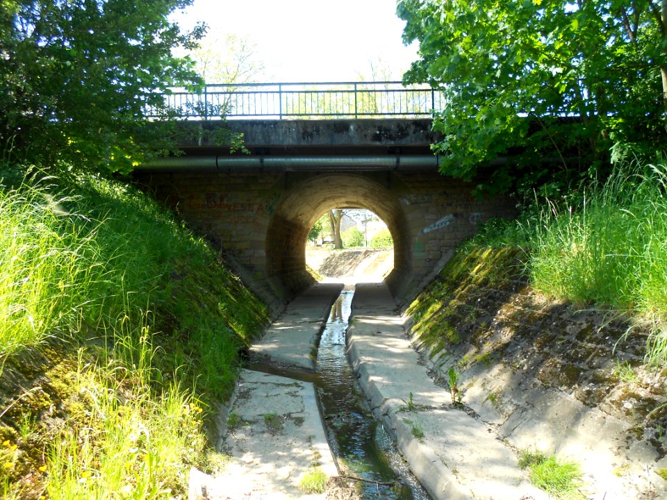 Zéissengerbaach - May 2012 (3)